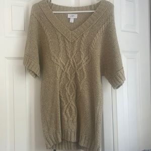 Ann Taylor Sweater